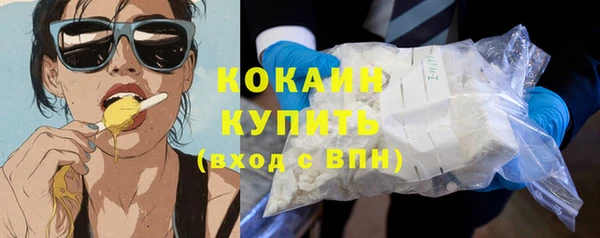 эйфоретик Ельня