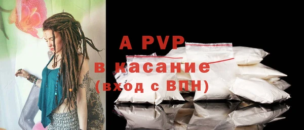 эйфоретик Ельня