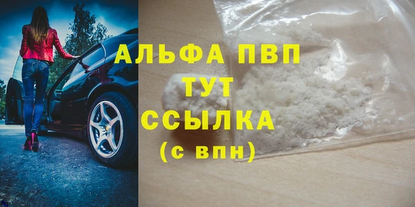 эйфоретик Ельня