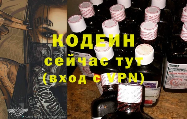 эйфоретик Ельня