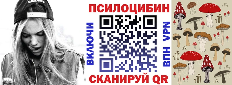 Купить где  Пудож  Псилоцибиновые грибы GOLDEN TEACHER 